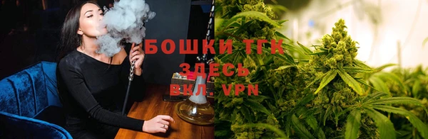 СК Абинск