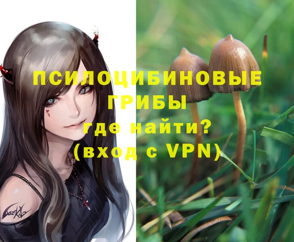 каннабис Покачи