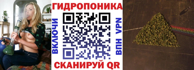 купить  сайты  сайты даркнета Telegram  Шишки марихуана план  Инта 